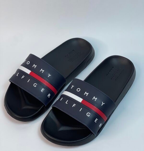 IMG_3818 Sandalia Tommy Hilfiger azules