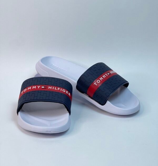 IMG_3853 Sandalia Tommy Tradicional azules